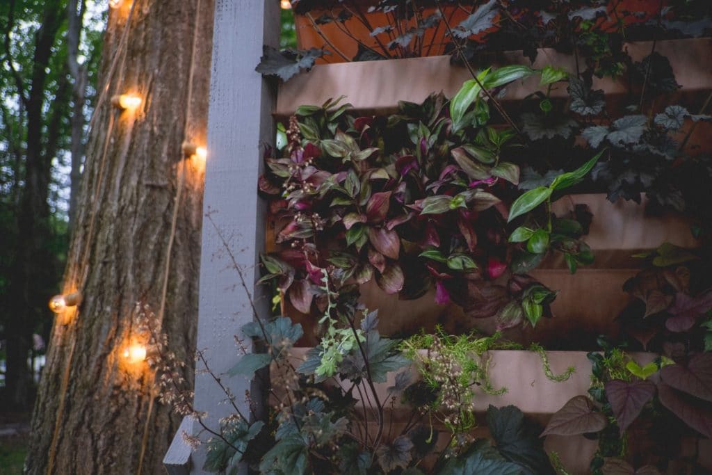 Close up of the Living Wall at Promise Ridge Rob Yaskovic Photography