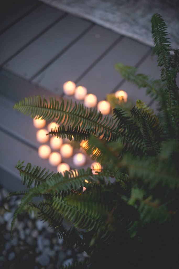 candles and ferns detail Blue Hour Elopement at The Living wall at Promise Ridge Rob Yaskovic Photography