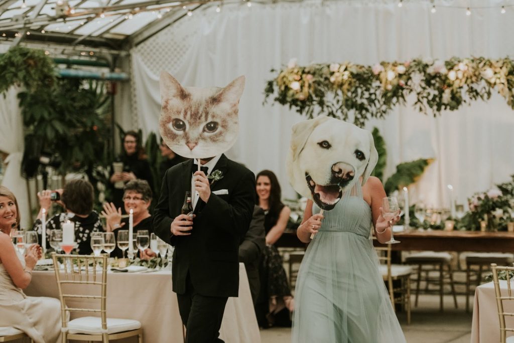 kitty and puppy alisa tongg celebrant horticultural center wedding m2 photography