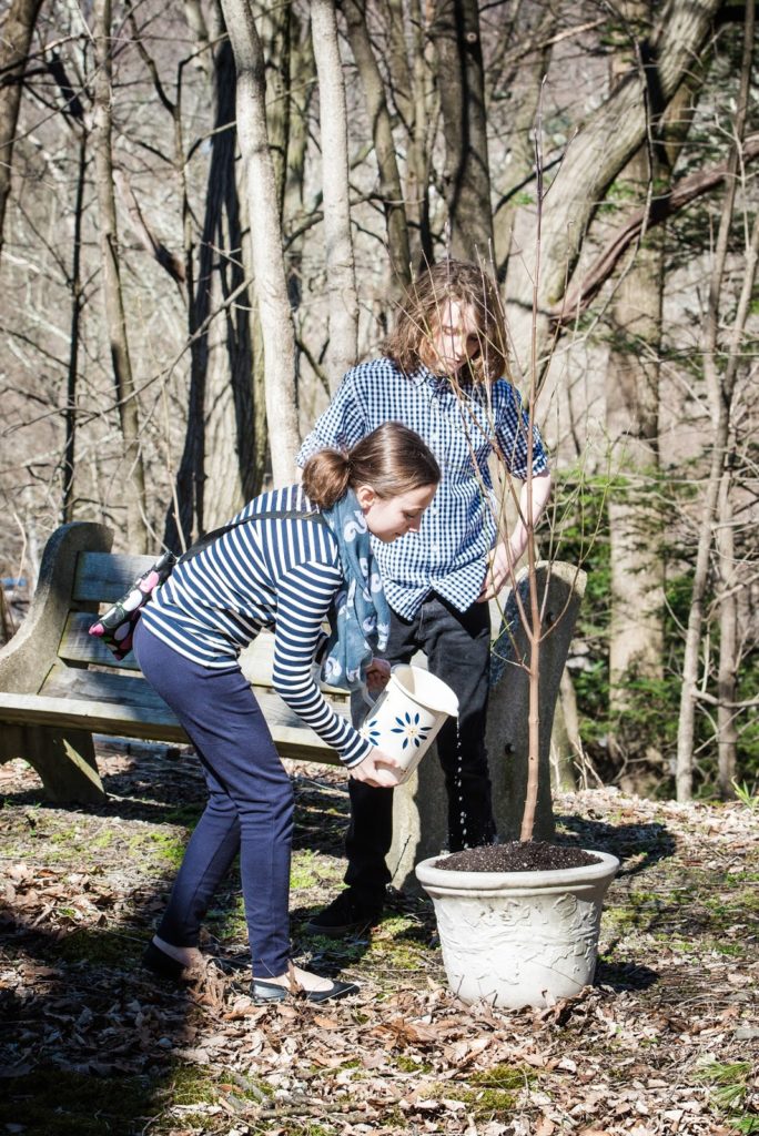 tree planting alisa tongg celebrant baby blessing and birthday amanda brooke photography